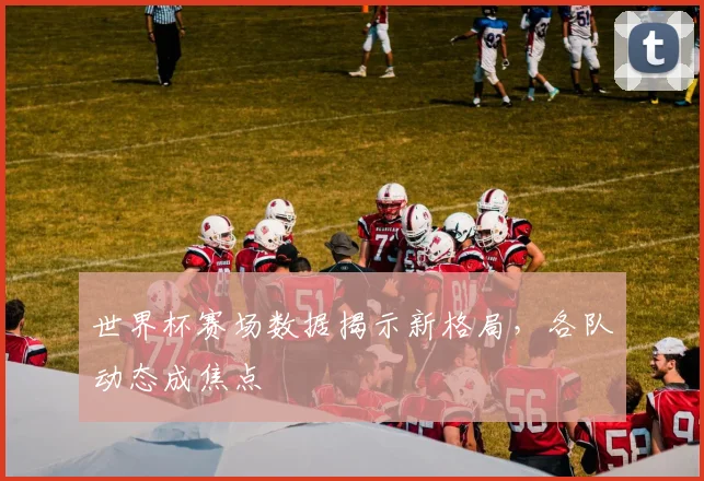 世界杯赛场数据揭示新格局，各队动态成焦点